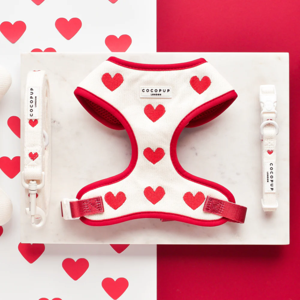 USE FOR DISCOUNTS GREATER THAN 30% OFF (Excludes Newness)